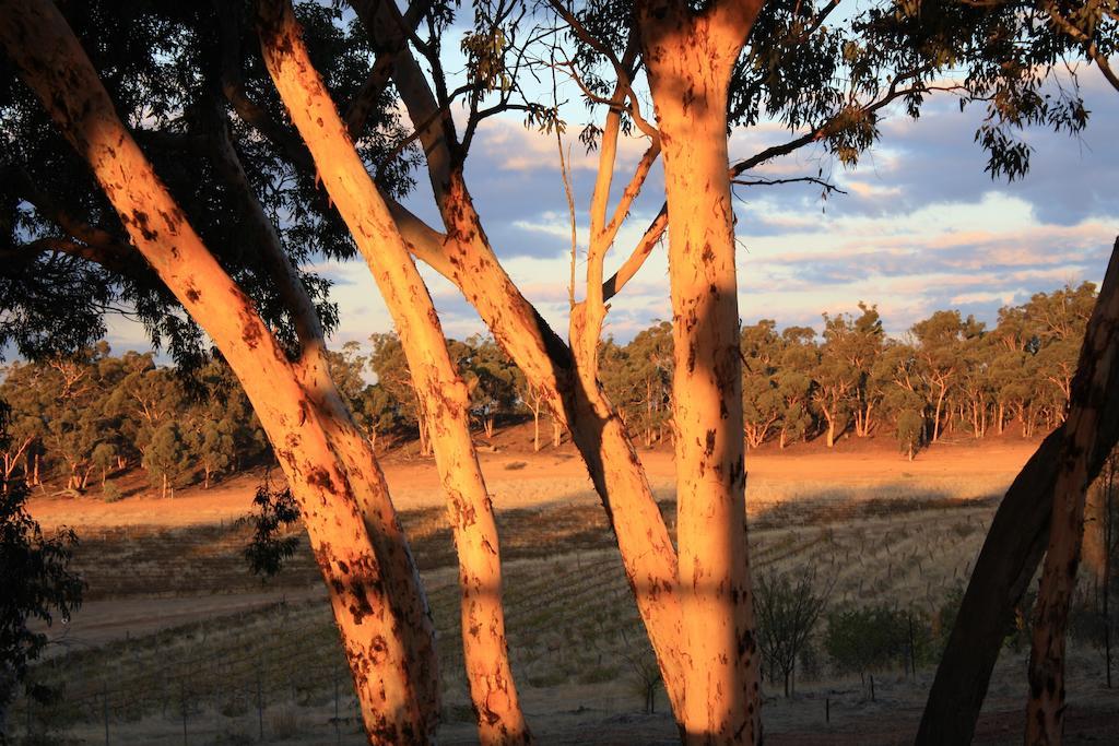 Вилла Hotham Ridge Estate Wandering Экстерьер фото
